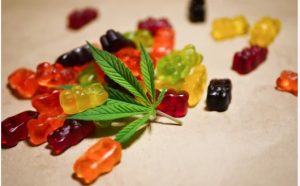 CBD gummy bears